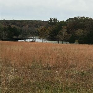 Meet your Posher, Lacey